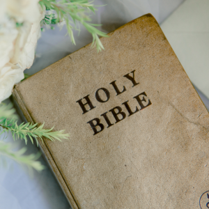Mentoring The Bible