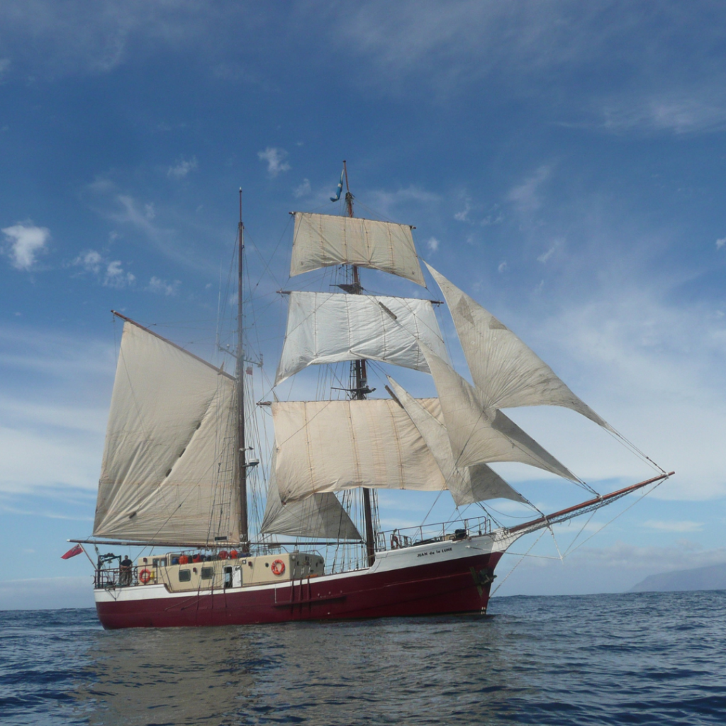 The Greek word used is ἀπόστολος (apostolos) and it literally means 'one who is sent out.' The apostle's history is connected with seafaring, where the word arose as a title for an admiral leading a fleet of ships sent to discover new territory. Read more about the role of the apostle in the fivefold ministry here.