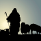 What is a shepherd?