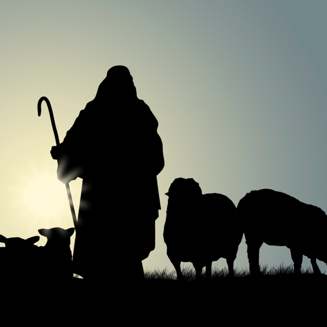 Shepherd - APEST