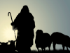 Shepherd - APEST